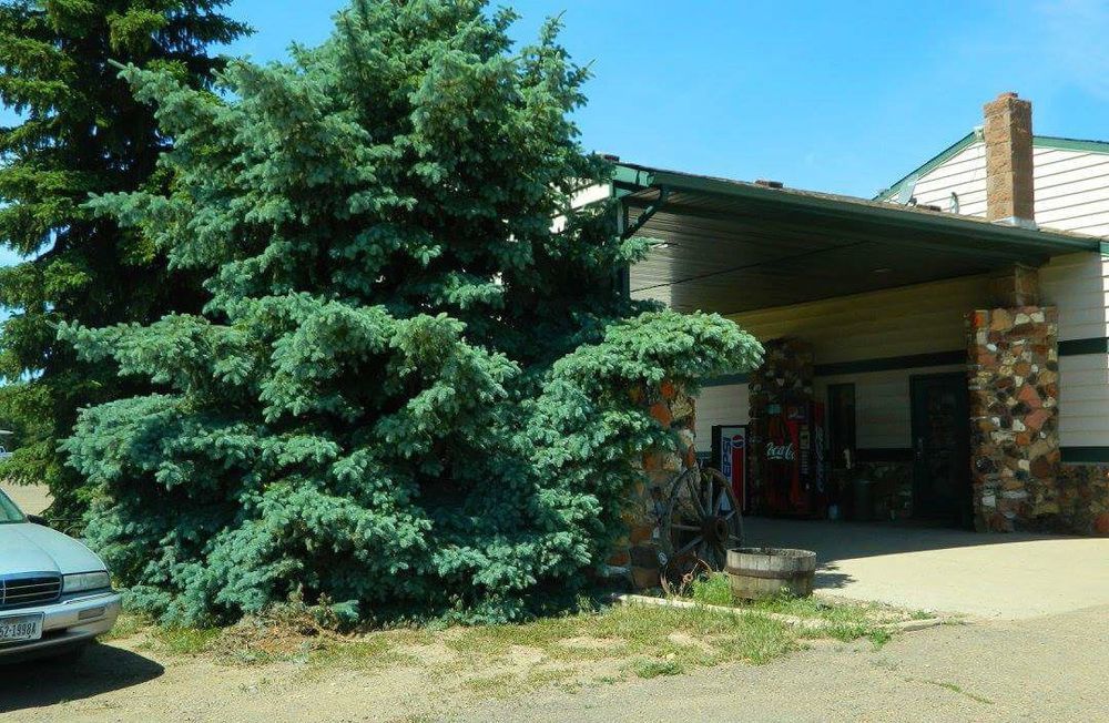 Rodeway Inn Gateway To Medora T-Roosevelt & Makoshika State Park Wibaux Exterior foto